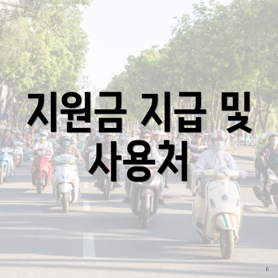 지원금 지급 및 사용처