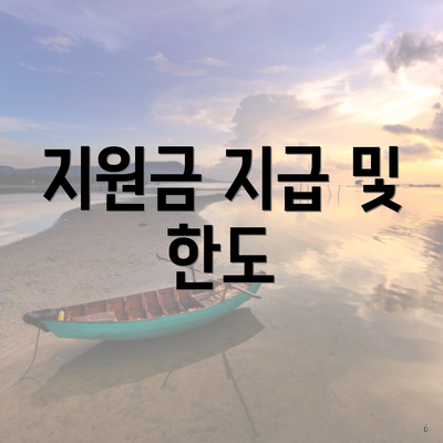 지원금 지급 및 한도