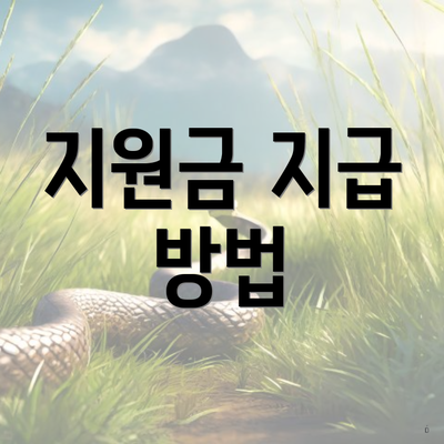 지원금 지급 방법
