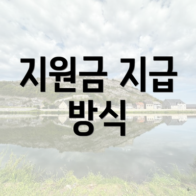 지원금 지급 방식