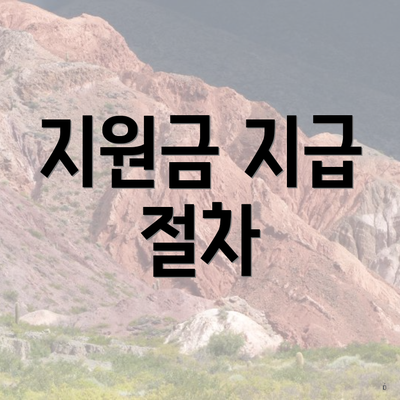 지원금 지급 절차