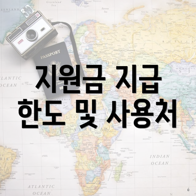 지원금 지급 한도 및 사용처