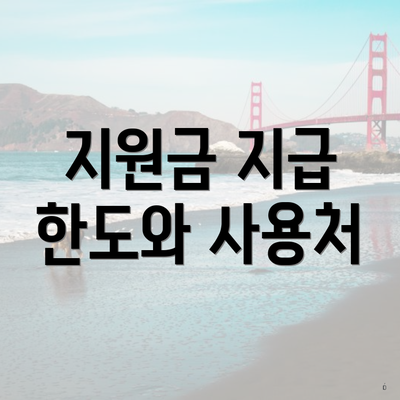 지원금 지급 한도와 사용처