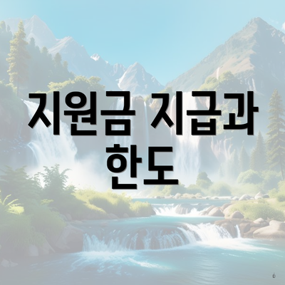 지원금 지급과 한도