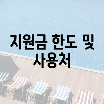 지원금 한도 및 사용처