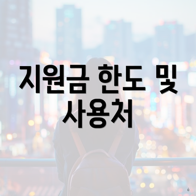 지원금 한도 및 사용처
