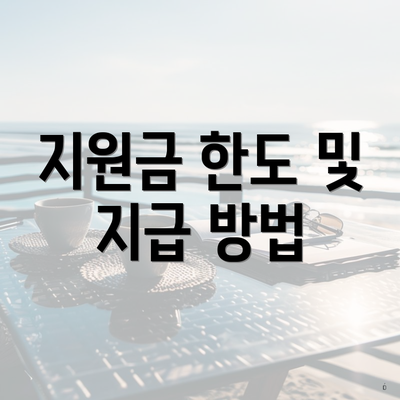 지원금 한도 및 지급 방법
