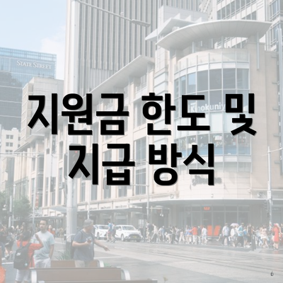 지원금 한도 및 지급 방식