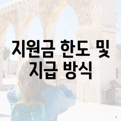 지원금 한도 및 지급 방식
