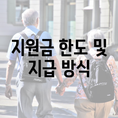 지원금 한도 및 지급 방식