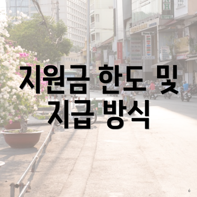 지원금 한도 및 지급 방식