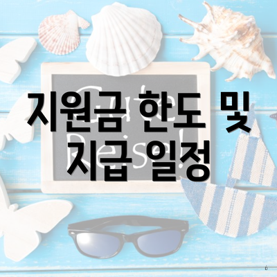 지원금 한도 및 지급 일정