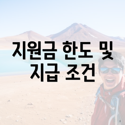 지원금 한도 및 지급 조건