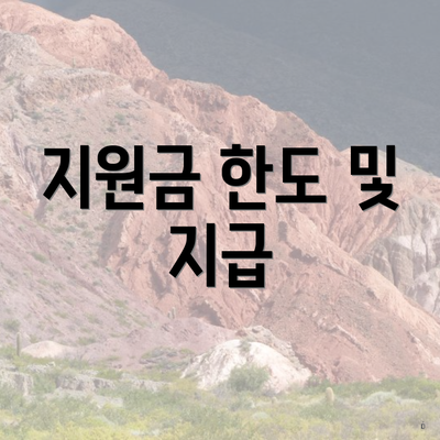 지원금 한도 및 지급