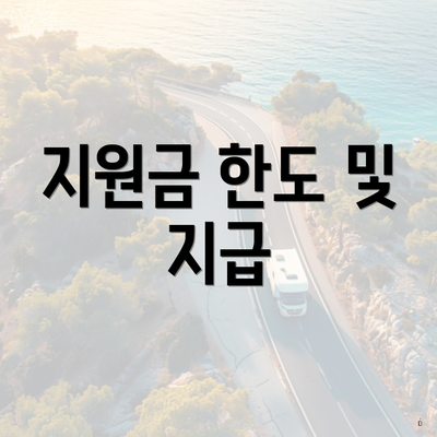 지원금 한도 및 지급