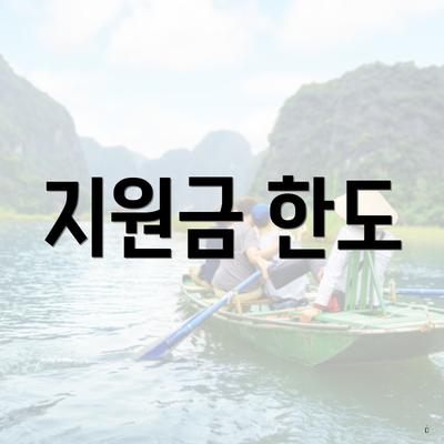 지원금 한도