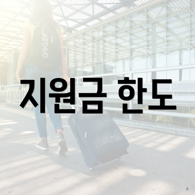 지원금 한도