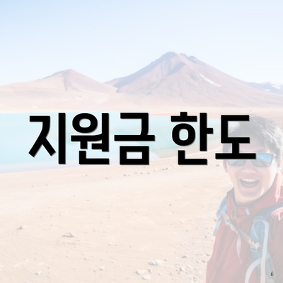 지원금 한도