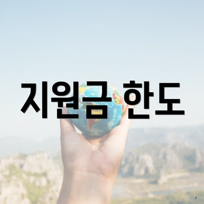지원금 한도