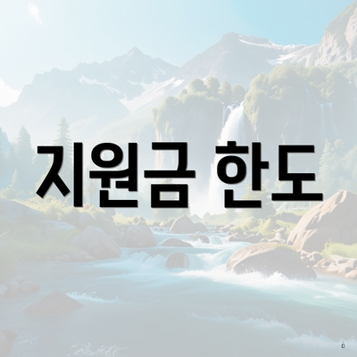 지원금 한도