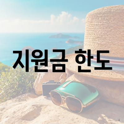 지원금 한도