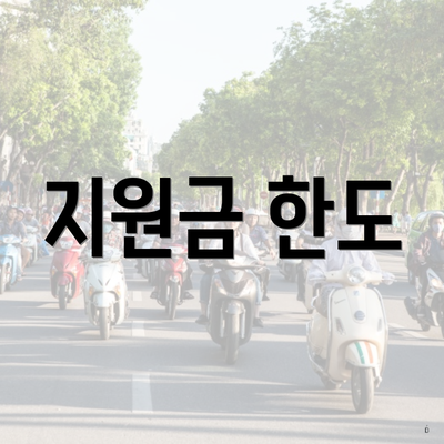 지원금 한도