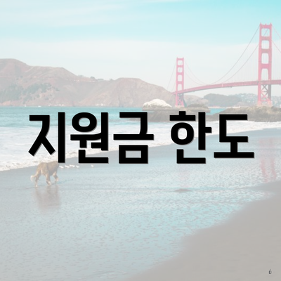 지원금 한도