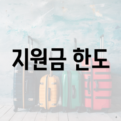 지원금 한도