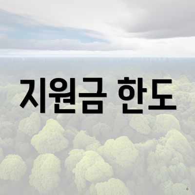지원금 한도