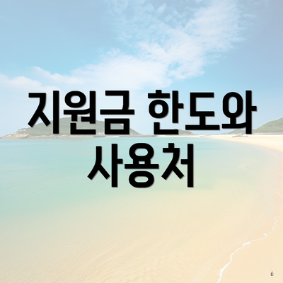 지원금 한도와 사용처