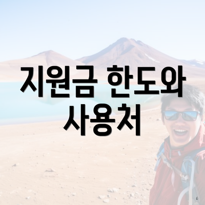지원금 한도와 사용처