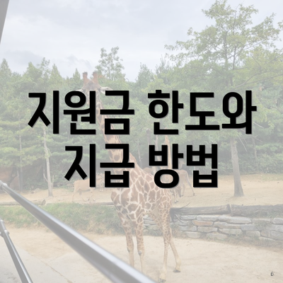 지원금 한도와 지급 방법