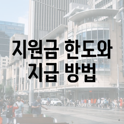 지원금 한도와 지급 방법