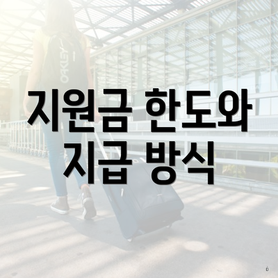지원금 한도와 지급 방식