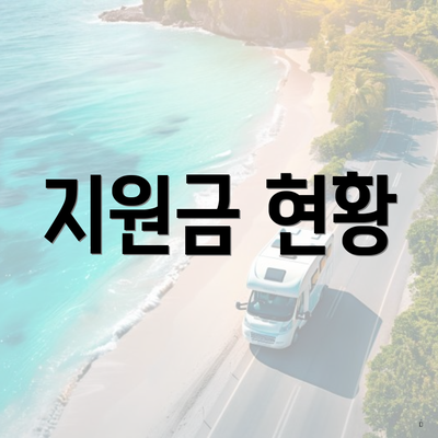 지원금 현황