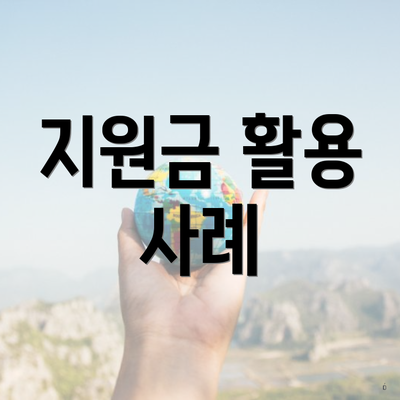 지원금 활용 사례