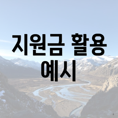 지원금 활용 예시