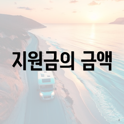 지원금의 금액