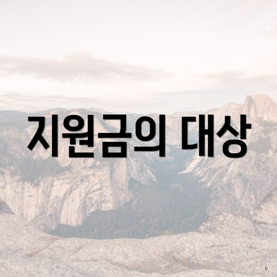 지원금의 대상