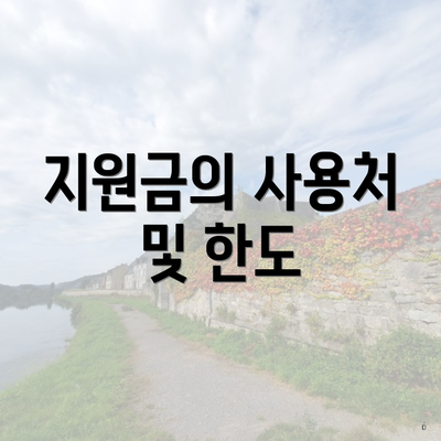 지원금의 사용처 및 한도