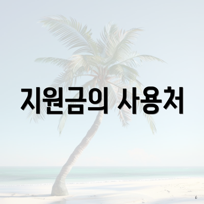 지원금의 사용처