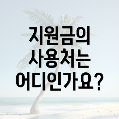 지원금의 사용처는 어디인가요?