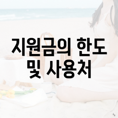 지원금의 한도 및 사용처