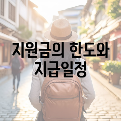 지원금의 한도와 지급일정