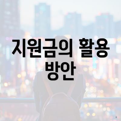 지원금의 활용 방안