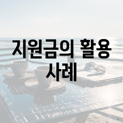 지원금의 활용 사례