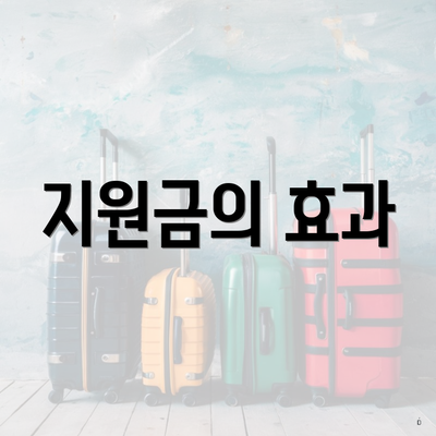 지원금의 효과