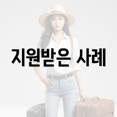 지원받은 사례