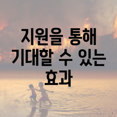 지원을 통해 기대할 수 있는 효과