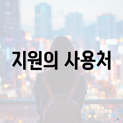 지원의 사용처